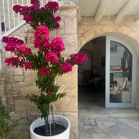 Apartment Little Stone House *